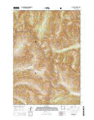 Pilot Peak Wyoming Current topographic map, 1:24000 scale, 7.5 X 7.5 Minute, Year 2015