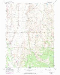 Pine Knoll Wyoming Historical topographic map, 1:24000 scale, 7.5 X 7.5 Minute, Year 1965