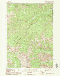 Plenty Coups Peak Wyoming Historical topographic map, 1:24000 scale, 7.5 X 7.5 Minute, Year 1989