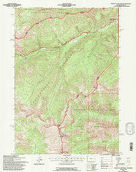 Plenty Coups Peak Wyoming Historical topographic map, 1:24000 scale, 7.5 X 7.5 Minute, Year 1991