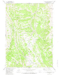 Poison Meadows Wyoming Historical topographic map, 1:24000 scale, 7.5 X 7.5 Minute, Year 1980