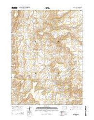 Pole Gulch Wyoming Current topographic map, 1:24000 scale, 7.5 X 7.5 Minute, Year 2015