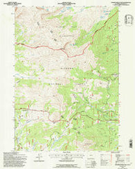 Powder River Pass Wyoming Historical topographic map, 1:24000 scale, 7.5 X 7.5 Minute, Year 1993