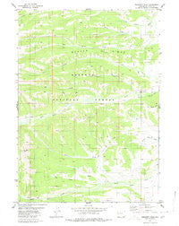 Prospect Peak Wyoming Historical topographic map, 1:24000 scale, 7.5 X 7.5 Minute, Year 1980