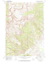 Ptarmigan Mountain Wyoming Historical topographic map, 1:24000 scale, 7.5 X 7.5 Minute, Year 1970