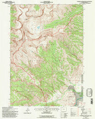 Ptarmigan Mountain Wyoming Historical topographic map, 1:24000 scale, 7.5 X 7.5 Minute, Year 1991