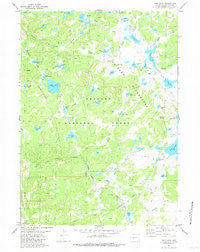 Raid Lake Wyoming Historical topographic map, 1:24000 scale, 7.5 X 7.5 Minute, Year 1981