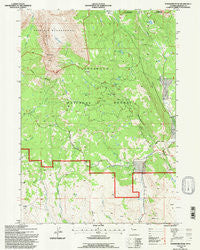 Ramshorn Peak Wyoming Historical topographic map, 1:24000 scale, 7.5 X 7.5 Minute, Year 1991