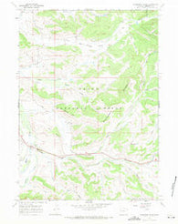 Raspberry Ridge Wyoming Historical topographic map, 1:24000 scale, 7.5 X 7.5 Minute, Year 1967