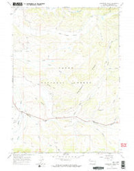 Raspberry Ridge Wyoming Historical topographic map, 1:24000 scale, 7.5 X 7.5 Minute, Year 1967