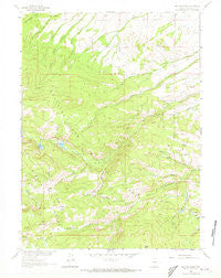 Red Mountain Wyoming Historical topographic map, 1:24000 scale, 7.5 X 7.5 Minute, Year 1961