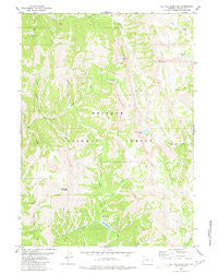 Red Top Mountain Wyoming Historical topographic map, 1:24000 scale, 7.5 X 7.5 Minute, Year 1980