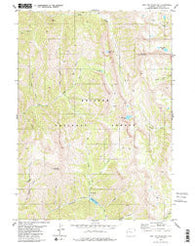 Red Top Mountain Wyoming Historical topographic map, 1:24000 scale, 7.5 X 7.5 Minute, Year 1980