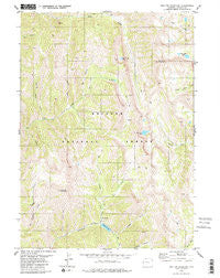 Red Top Mountain Wyoming Historical topographic map, 1:24000 scale, 7.5 X 7.5 Minute, Year 1980