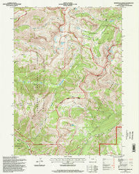 Rendezvous Peak Wyoming Historical topographic map, 1:24000 scale, 7.5 X 7.5 Minute, Year 1996