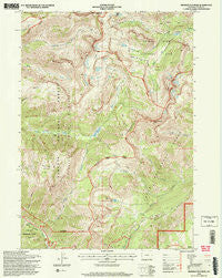 Rendezvous Peak Wyoming Historical topographic map, 1:24000 scale, 7.5 X 7.5 Minute, Year 1996