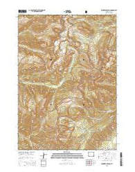 Rendezvous Peak Wyoming Current topographic map, 1:24000 scale, 7.5 X 7.5 Minute, Year 2015