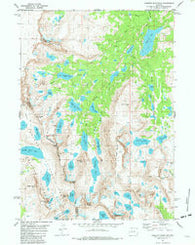 Roberts Mountain Wyoming Historical topographic map, 1:24000 scale, 7.5 X 7.5 Minute, Year 1981