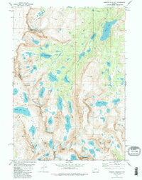 Roberts Mountain Wyoming Historical topographic map, 1:24000 scale, 7.5 X 7.5 Minute, Year 1981