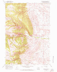 Robinson Canyon Wyoming Historical topographic map, 1:24000 scale, 7.5 X 7.5 Minute, Year 1967