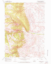Robinson Canyon Wyoming Historical topographic map, 1:24000 scale, 7.5 X 7.5 Minute, Year 1967