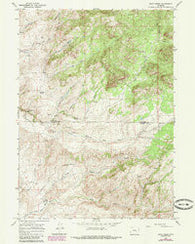 Rock Creek Wyoming Historical topographic map, 1:24000 scale, 7.5 X 7.5 Minute, Year 1964