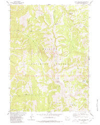 Rock Lake Peak Wyoming Historical topographic map, 1:24000 scale, 7.5 X 7.5 Minute, Year 1980