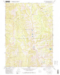 Rock Lake Peak Wyoming Historical topographic map, 1:24000 scale, 7.5 X 7.5 Minute, Year 1980
