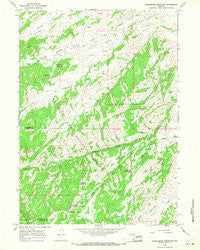 Saddleback Mountain Wyoming Historical topographic map, 1:24000 scale, 7.5 X 7.5 Minute, Year 1964