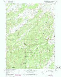 Saddleback Mountain Wyoming Historical topographic map, 1:24000 scale, 7.5 X 7.5 Minute, Year 1964