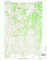 Salt Flat Wyoming Historical topographic map, 1:24000 scale, 7.5 X 7.5 Minute, Year 1967