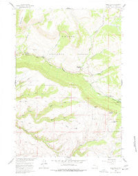 Shell Falls Wyoming Historical topographic map, 1:24000 scale, 7.5 X 7.5 Minute, Year 1960