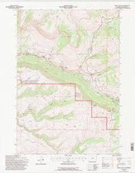 Shell Falls Wyoming Historical topographic map, 1:24000 scale, 7.5 X 7.5 Minute, Year 1993