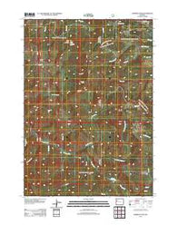 Sheridan Pass Wyoming Historical topographic map, 1:24000 scale, 7.5 X 7.5 Minute, Year 2012