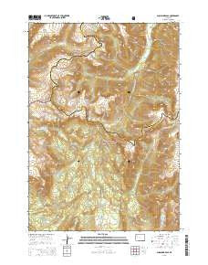 Shoshone Pass Wyoming Current topographic map, 1:24000 scale, 7.5 X 7.5 Minute, Year 2015