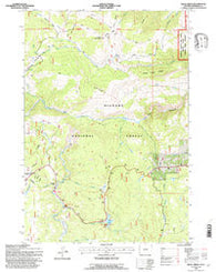 Skull Ridge Wyoming Historical topographic map, 1:24000 scale, 7.5 X 7.5 Minute, Year 1993