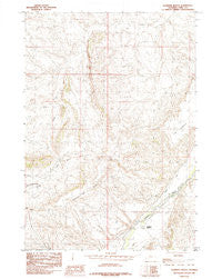 Sleepers Ranch Wyoming Historical topographic map, 1:24000 scale, 7.5 X 7.5 Minute, Year 1985