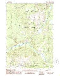 Snake Hot Springs Wyoming Historical topographic map, 1:24000 scale, 7.5 X 7.5 Minute, Year 1989