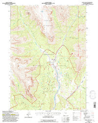 Snow Lake Wyoming Historical topographic map, 1:24000 scale, 7.5 X 7.5 Minute, Year 1991
