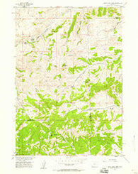 Soapy Dale Peak Wyoming Historical topographic map, 1:24000 scale, 7.5 X 7.5 Minute, Year 1956