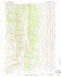 South Fork Mountain Wyoming Historical topographic map, 1:24000 scale, 7.5 X 7.5 Minute, Year 1967