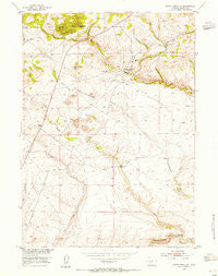 South Pass City Wyoming Historical topographic map, 1:24000 scale, 7.5 X 7.5 Minute, Year 1953