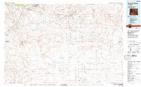 South Pass Wyoming Historical topographic map, 1:100000 scale, 30 X 60 Minute, Year 1984