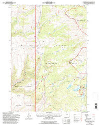 Spanish Point Wyoming Historical topographic map, 1:24000 scale, 7.5 X 7.5 Minute, Year 1993