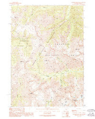 Stinkingwater Peak Wyoming Historical topographic map, 1:24000 scale, 7.5 X 7.5 Minute, Year 1989