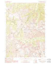 Stinkingwater Peak Wyoming Historical topographic map, 1:24000 scale, 7.5 X 7.5 Minute, Year 1989