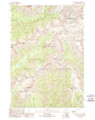 Sunlight Peak Wyoming Historical topographic map, 1:24000 scale, 7.5 X 7.5 Minute, Year 1989