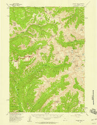 Sunlight Peak Wyoming Historical topographic map, 1:62500 scale, 15 X 15 Minute, Year 1956