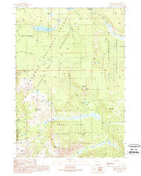 Survey Peak Wyoming Historical topographic map, 1:24000 scale, 7.5 X 7.5 Minute, Year 1989