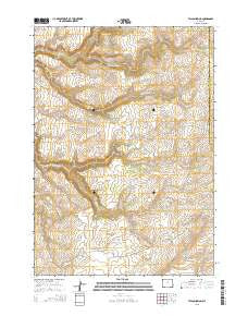 Tallon Spring Wyoming Current topographic map, 1:24000 scale, 7.5 X 7.5 Minute, Year 2015